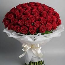 Букет 101 Красная роза Блэк Мэджик в Мещерино