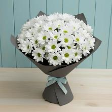 Букет цветов из:  Хризантемы в Мещерино