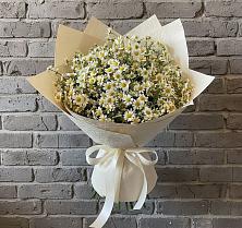 Букет цветов из:  Ромашки в Мещерино