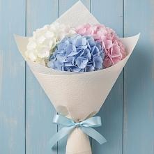 Букет цветов из:  Гортензия #REPLACE_PRED# Мещерино
