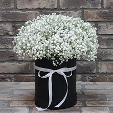 Цветочная композиция из Гипсофила в шляпной коробке #REPLACE_PRED# Мещерино