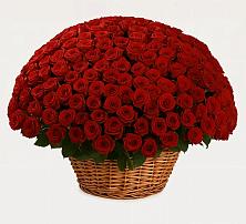 Премиум букет из: Розы в Мещерино