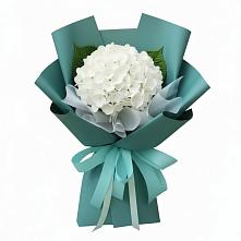 Букет цветов из:  Гортензия #REPLACE_PRED# Мещерино